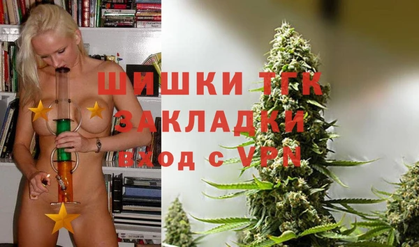 стаф Богородицк